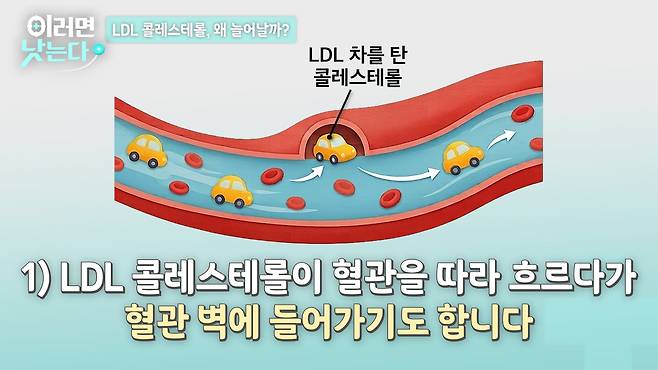 /조선일보 의학·건강 유튜브 '이러면 낫는다'
