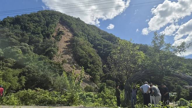 ◇4일 홍천군 서면 모곡리의 한 산에서 발생산 산사태. 해발 320m 높이의 산으로 토사 붕괴는 정상 아래 약 20m 지점에서 시작됐다. 사진=고은기자