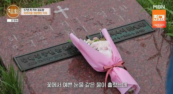출처:MBN '특종세상'
