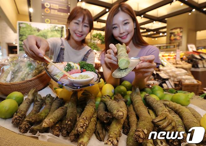 서울 중구 신세계백화점 본점 식품관에서 모델들이 직접 갈아서 먹는 시즈오카 와사비를 선보이고 있다. (뉴스1DB) ⓒ 뉴스1 구윤성 기자