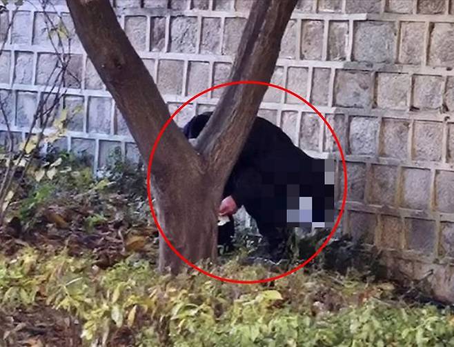 경복궁 아래에서 용변을 보는 중국인 관광객. / 사진제공 =서경덕 성신여대 교수