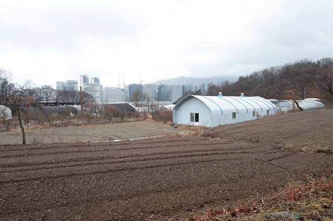 수도권 내 한 농지 너머로 아파트 단지 등 재개발 구역이 들어서 있다. ⓒ연합뉴스