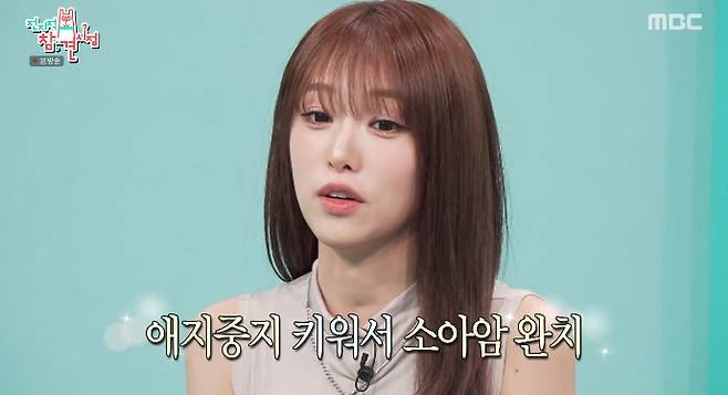 /사진=MBC '전지적 참견 시점' 방송화면