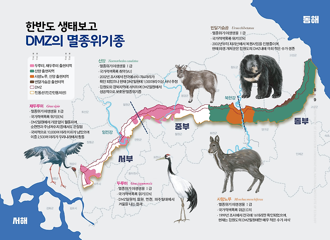 2016년 제작된 DMZ 생물다양성 지도. 국립생태원 제공