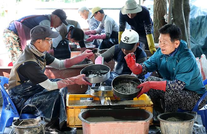 충주 장미산성 집수지 발굴 현장에서 작업자들이 물체질을 하고 있다. /신현종 기자