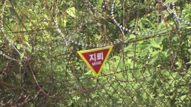 비무장지대(DMZ) 일대에 설치된 지뢰 경고 표지판. (SBS 캡처)