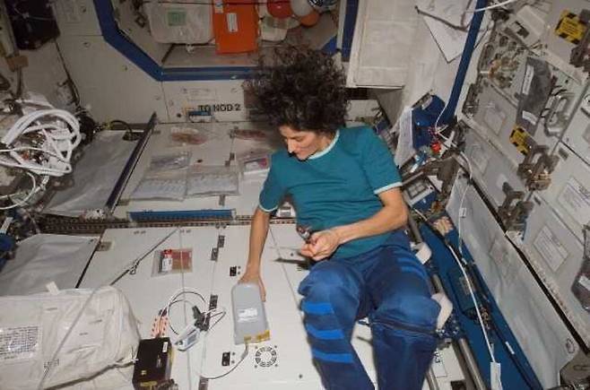 국제우주정거장(ISS)에서 실험 장비를 다루는 NASA 우주비행사 수니 윌리엄스. 우주의 미세중력 환경은 인체의 세포와 생리 기능에 다양한 변화를 일으킬 수 있다. NASA 제공