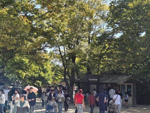 불국사를 찾는 사람들. 강시일 기자