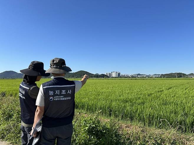 국립농산물품질관리원 충남지원 금산사무소 직원들이 금산 지역 농지 불법 이용을 근절하기 위해 현장조사에 나섰다. 금산군 제공