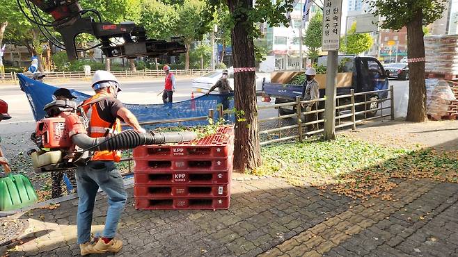 지난 3일 서울시에서 고용한 작업자들이 영등포구 거리에서 은행나무 열매 수거 작업을 하고 있다. 신형철 기자
