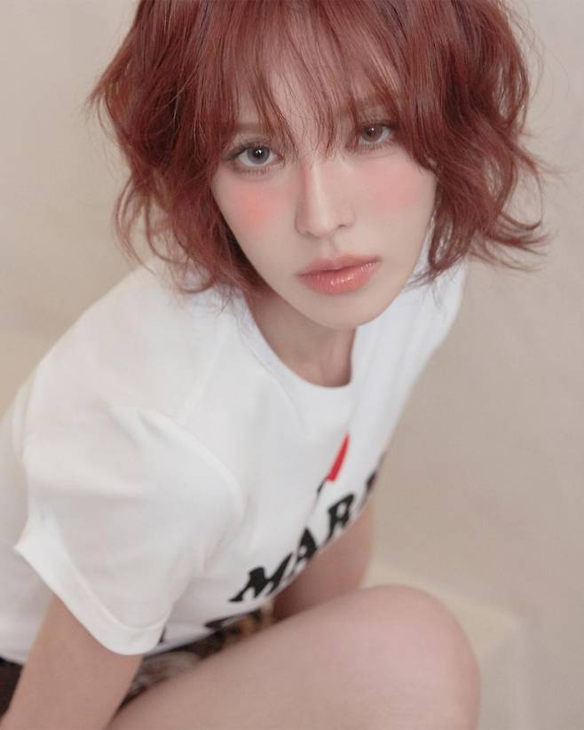 출처:어센드