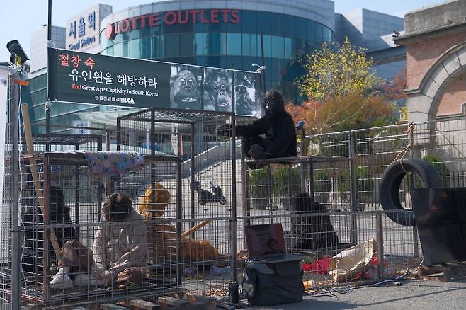 동물해방물결 활동가들이 15일 서울역 광장 철창 안에서 유인원의 삶을 재현하며 유인원의 전시종식을 촉구하는 퍼포먼스를 하고 있다. 동물해방물결 제공