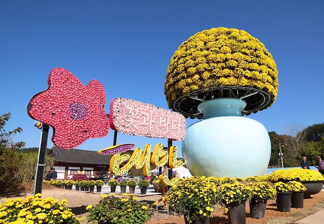 지난 '2025년 태안국화축제' 입구 전경 ⓒ태안군 제공
