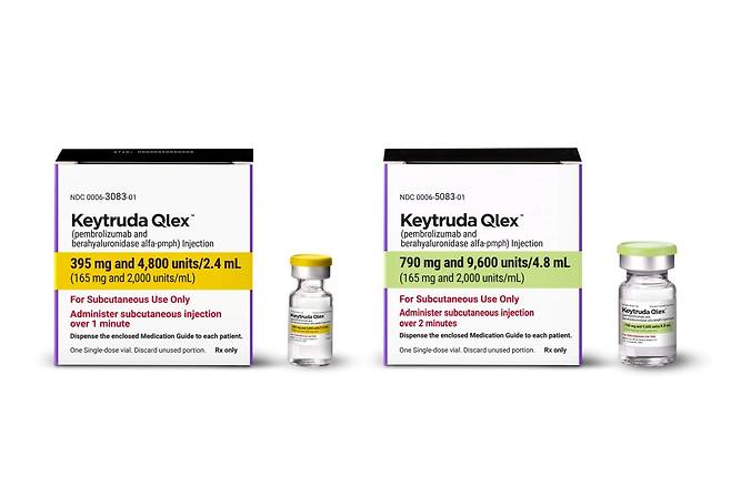 한국 알테오젠의 기술을 적용한 MSD의 피하주사제 '키트루다 큐렉스'. 이번 FDA 정식승인 대상에 기존 정맥주사제와 함께 포함됐다. 사진=MSD