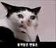 22.jpg 너무 슬프다는 어느 애니메이션의 마지막화.jpg