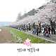 출처: '경포대 벚꽃축제' 공식 홈페이지