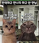 image.png 군대인연 특징. 군대 인연 특징 군대 인연 특징 군대 인연 특징